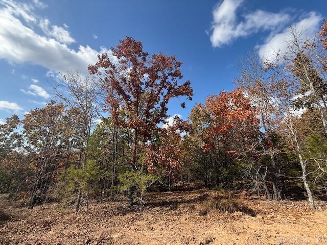 22 Summer Tyme Drive  Greenbrier, AR