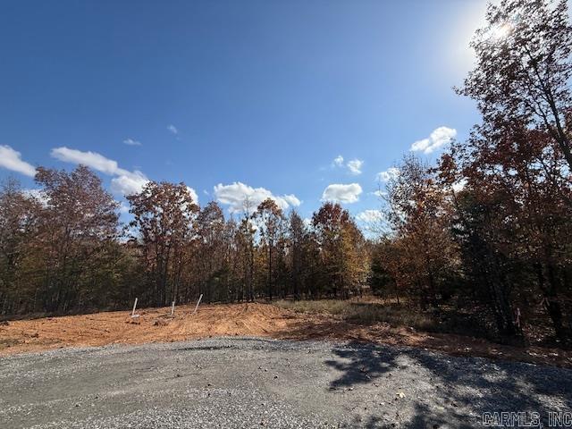 24 Summer Tyme Drive  Greenbrier, AR