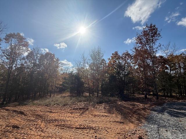 24 Summer Tyme Drive  Greenbrier, AR