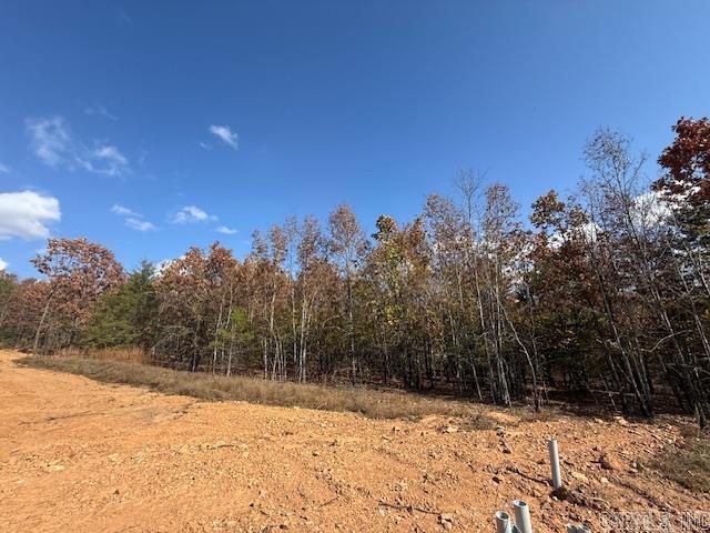 25 Summer Tyme Drive  Greenbrier, AR