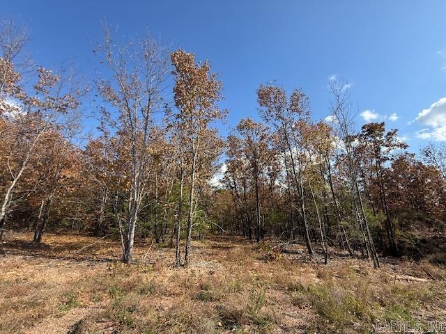 23 Summer Tyme Drive  Greenbrier, AR