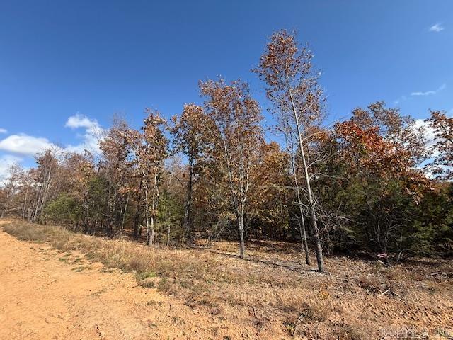 17 Summer Tyme Drive  Greenbrier, AR