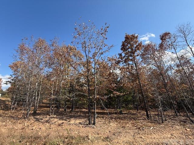 13 Summer Tyme Drive  Greenbrier, AR