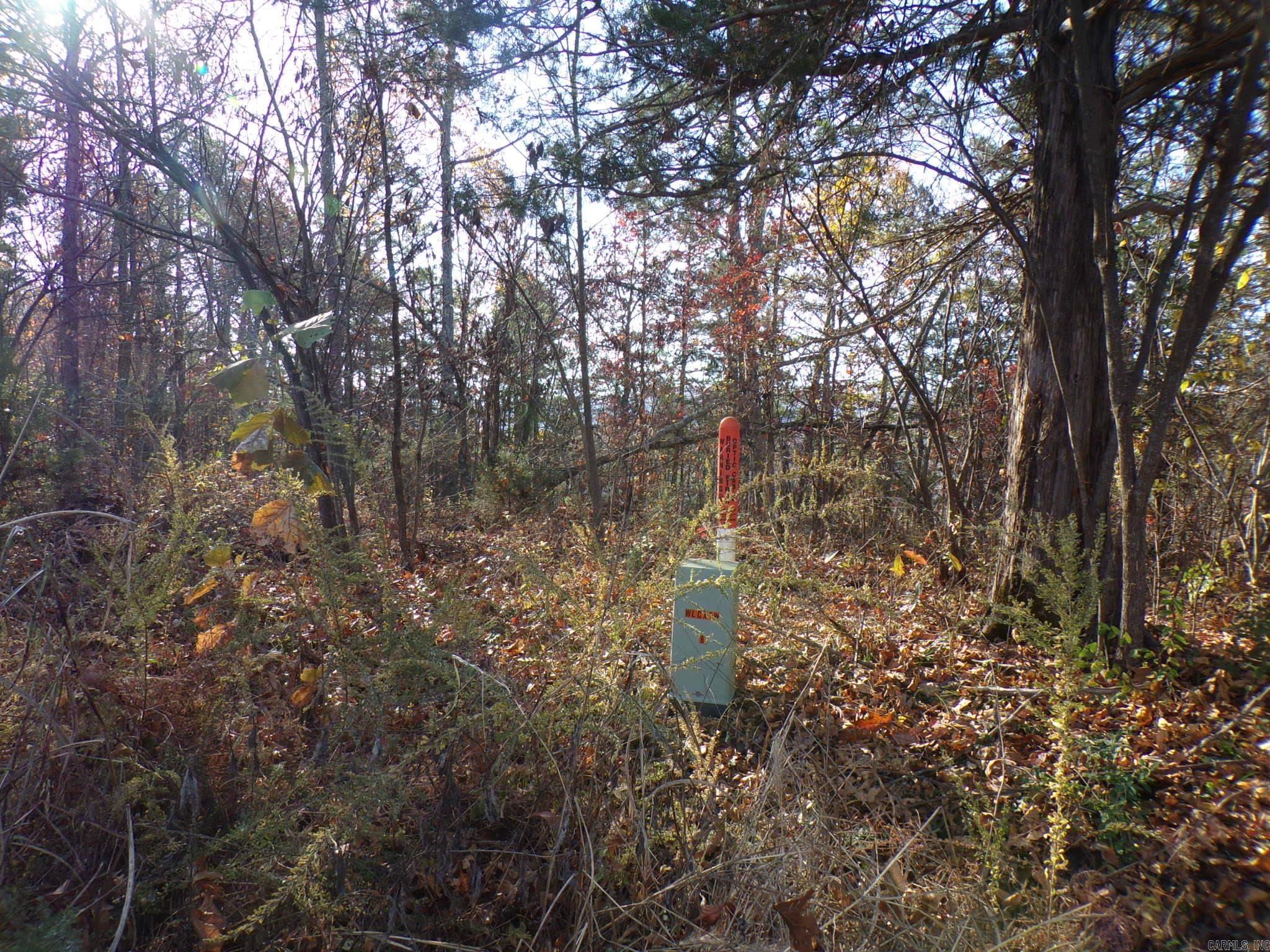  Heritage Oaks  Mountain View, AR