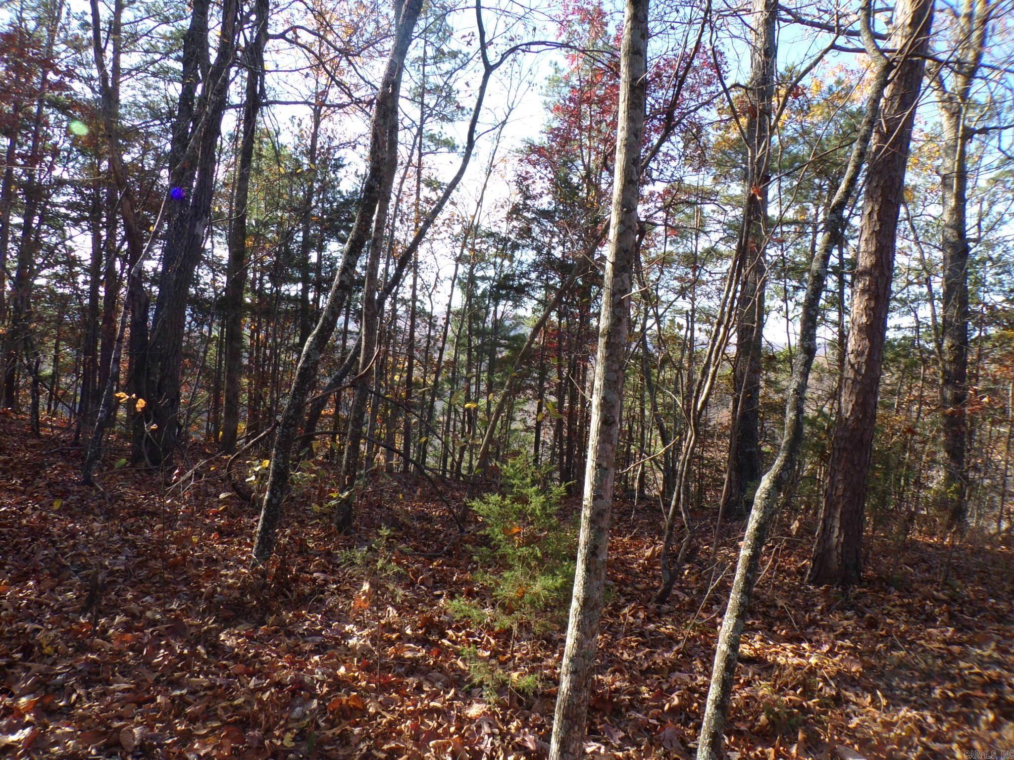  Heritage Oaks  Mountain View, AR