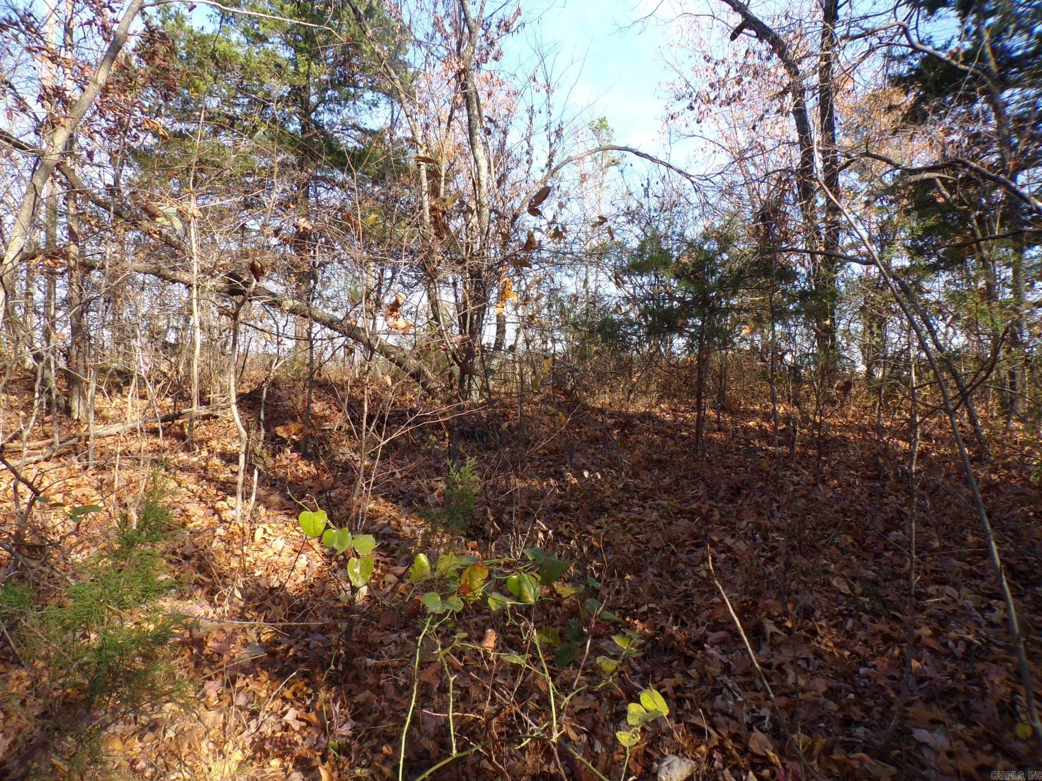  Heritage Oaks  Mountain View, AR