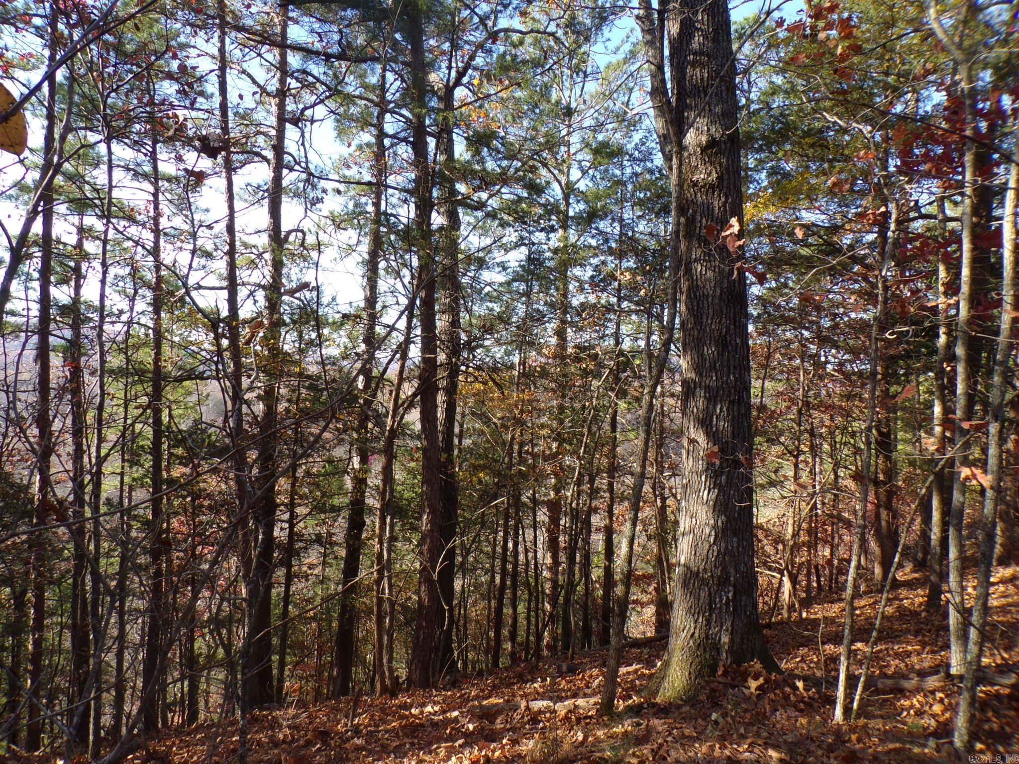  Heritage Oaks  Mountain View, AR