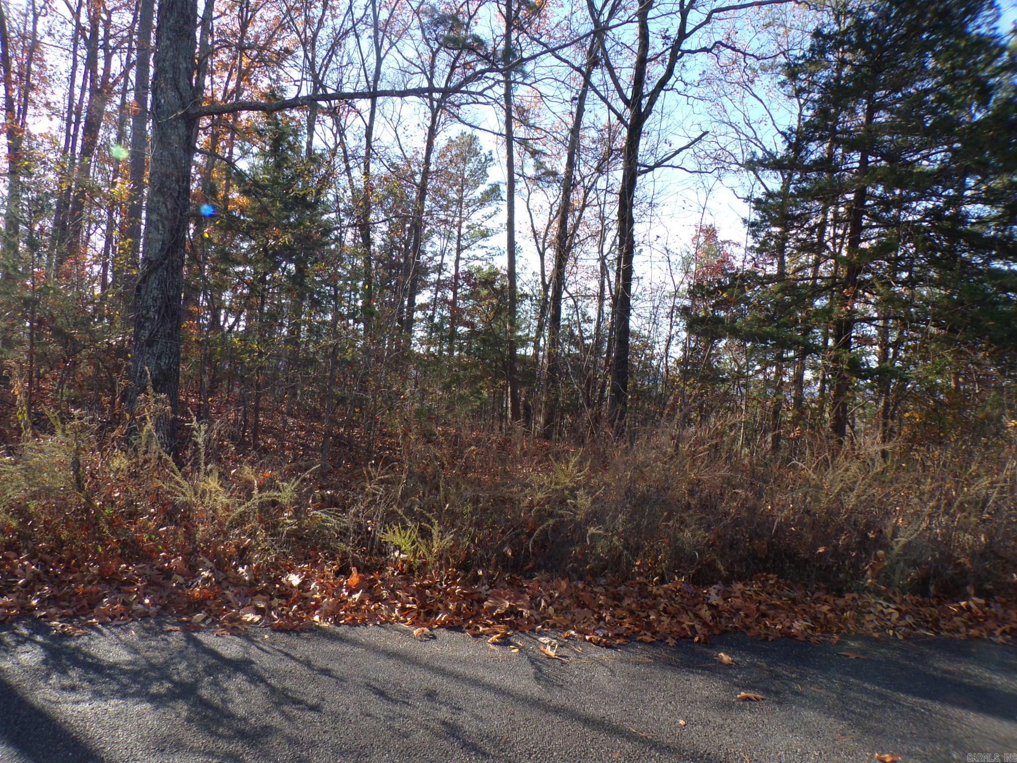  Heritage Oaks  Mountain View, AR