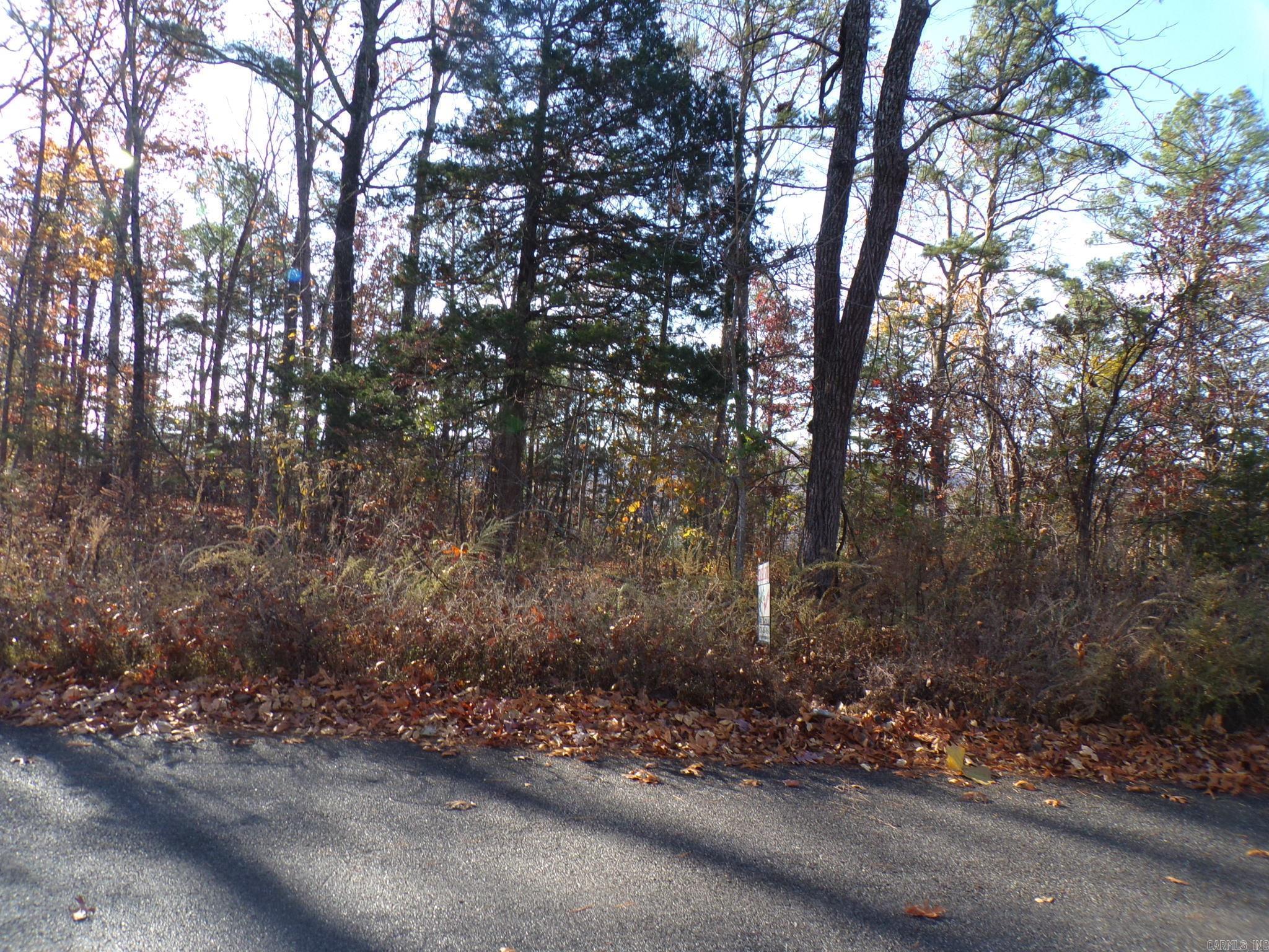  Heritage Oaks  Mountain View, AR