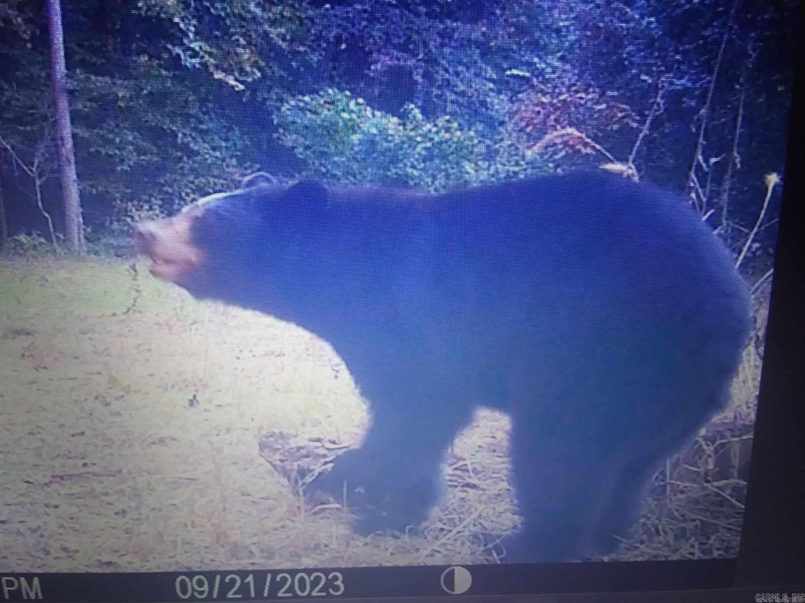 000 Kulp Road  Boles, AR