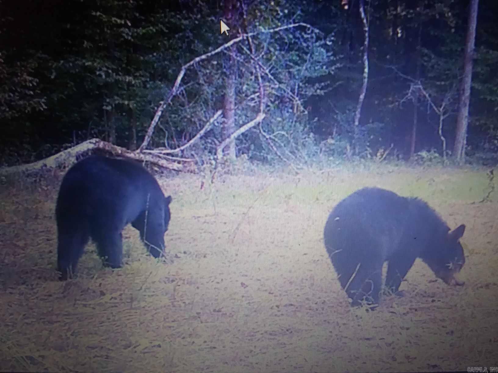 000 Kulp Road  Boles, AR