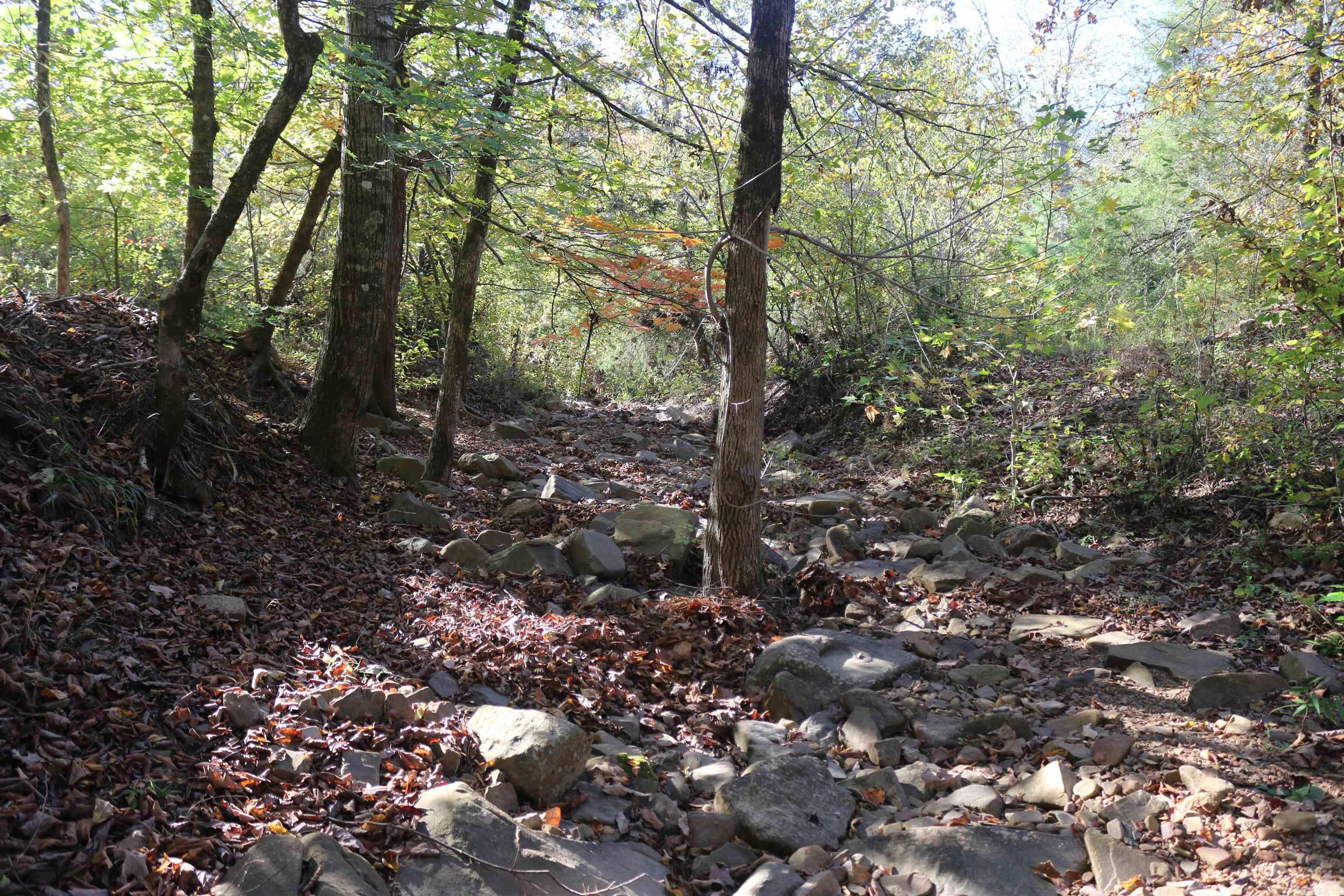 000 Kulp Road  Boles, AR