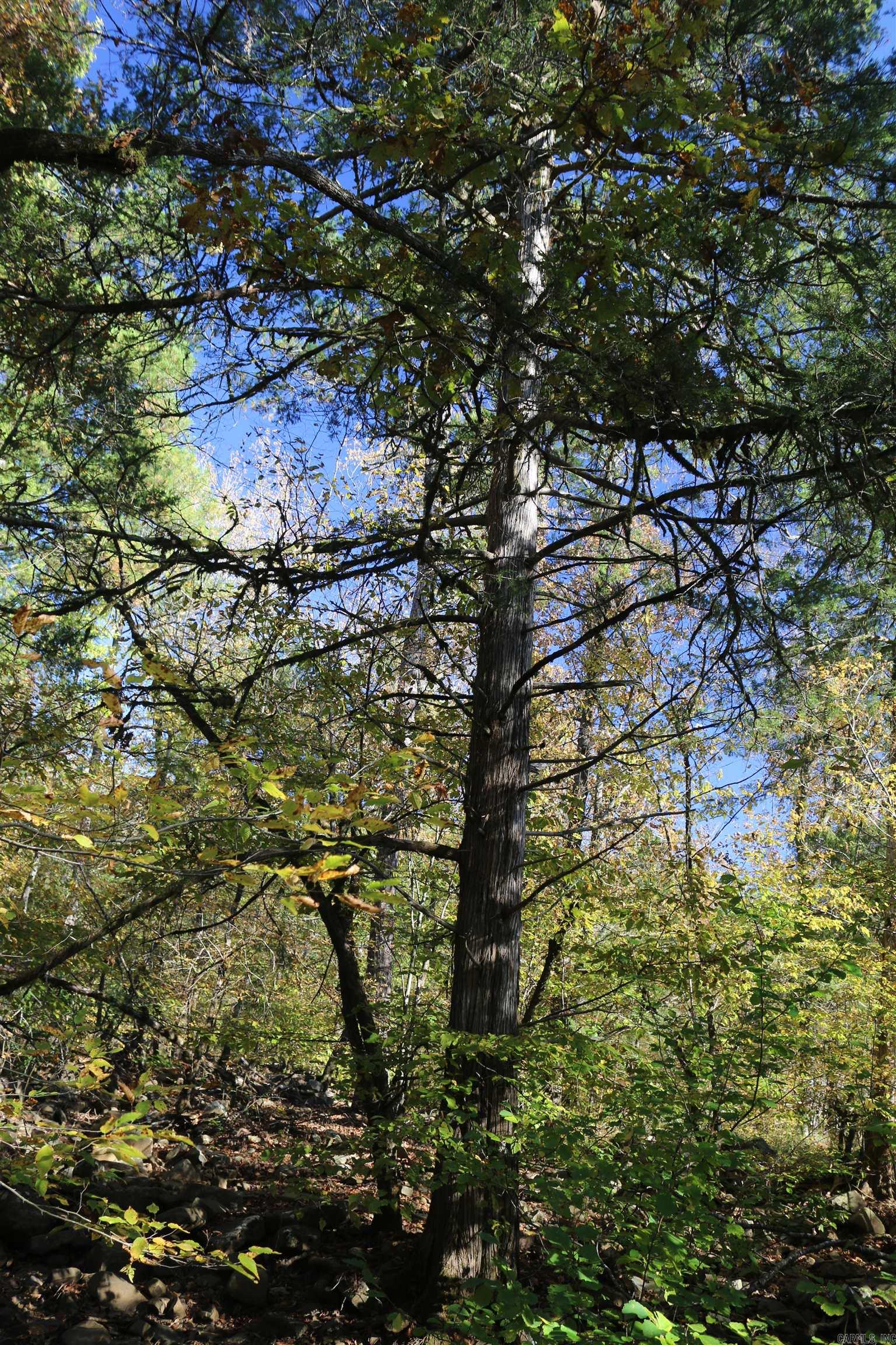 000 Kulp Road  Boles, AR