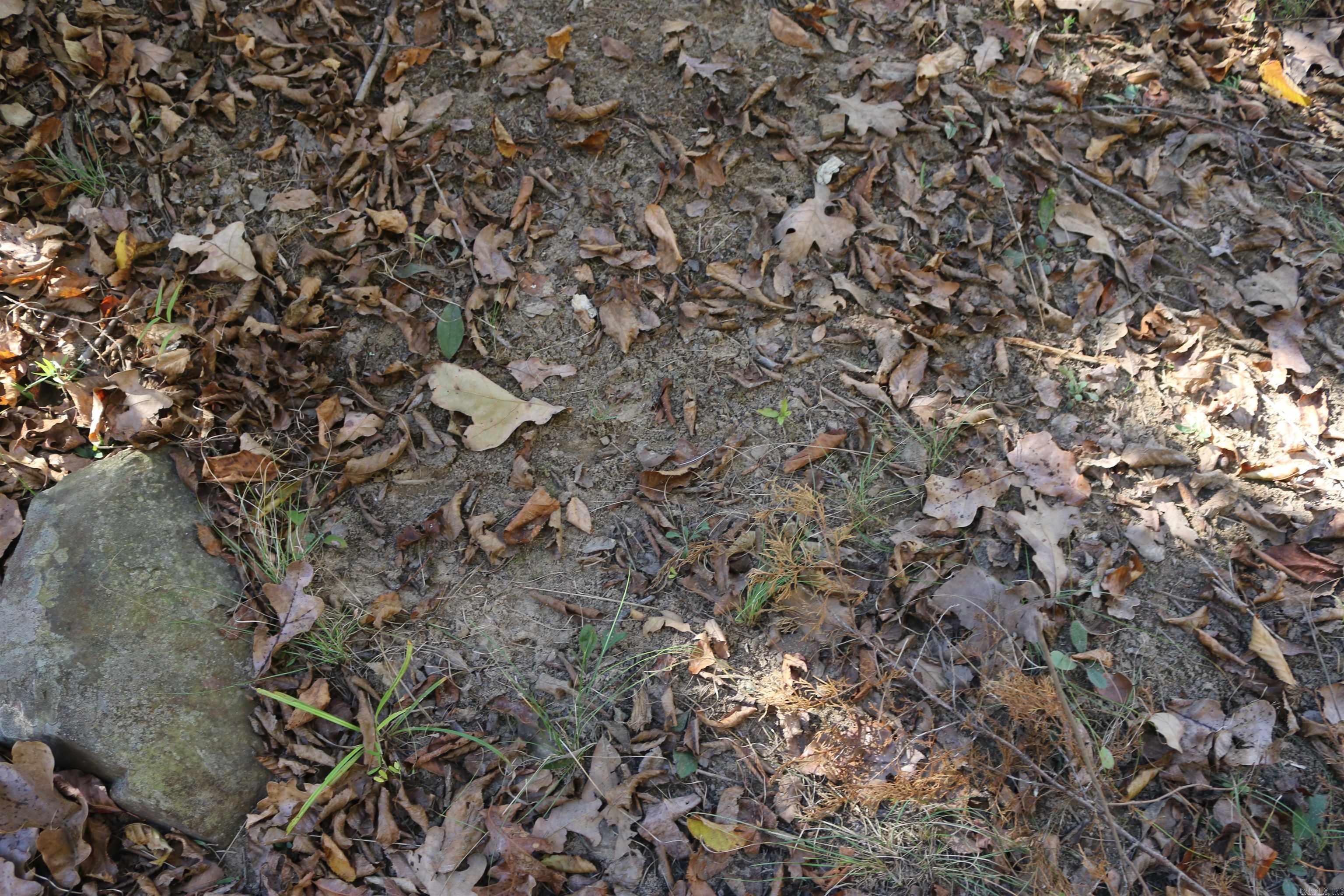 000 Kulp Road  Boles, AR