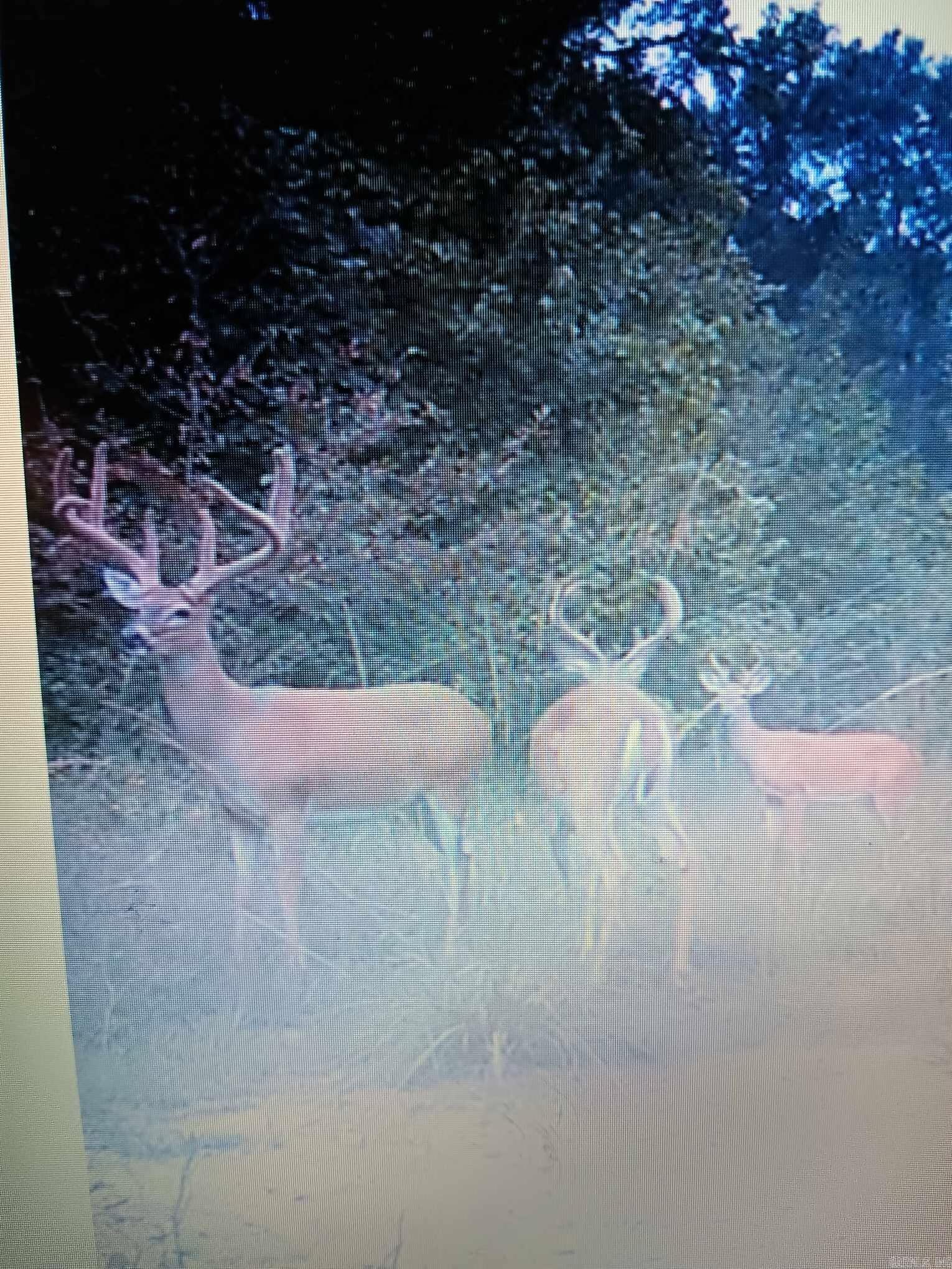 000 Kulp Road  Boles, AR