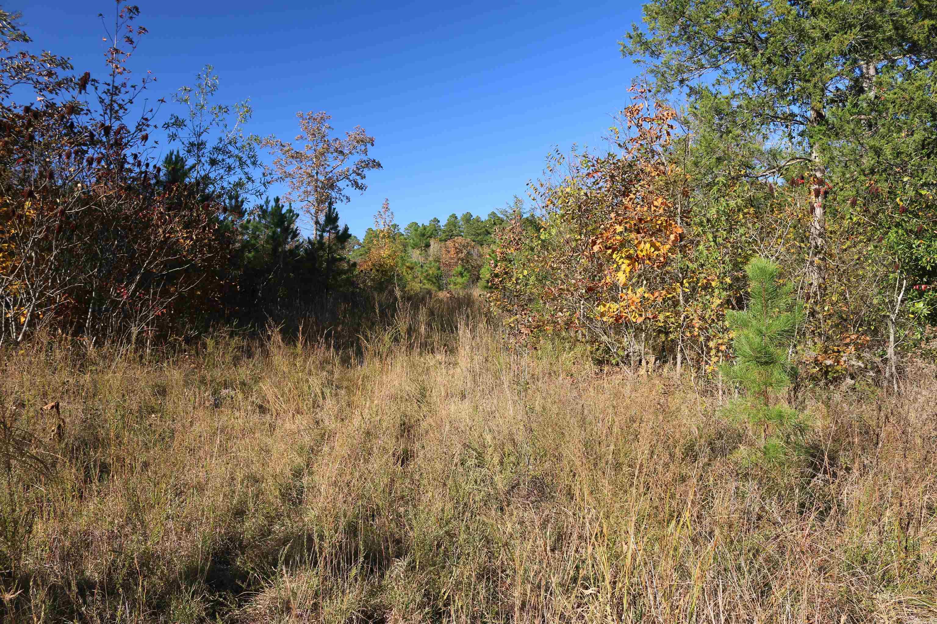 000 Kulp Road  Boles, AR