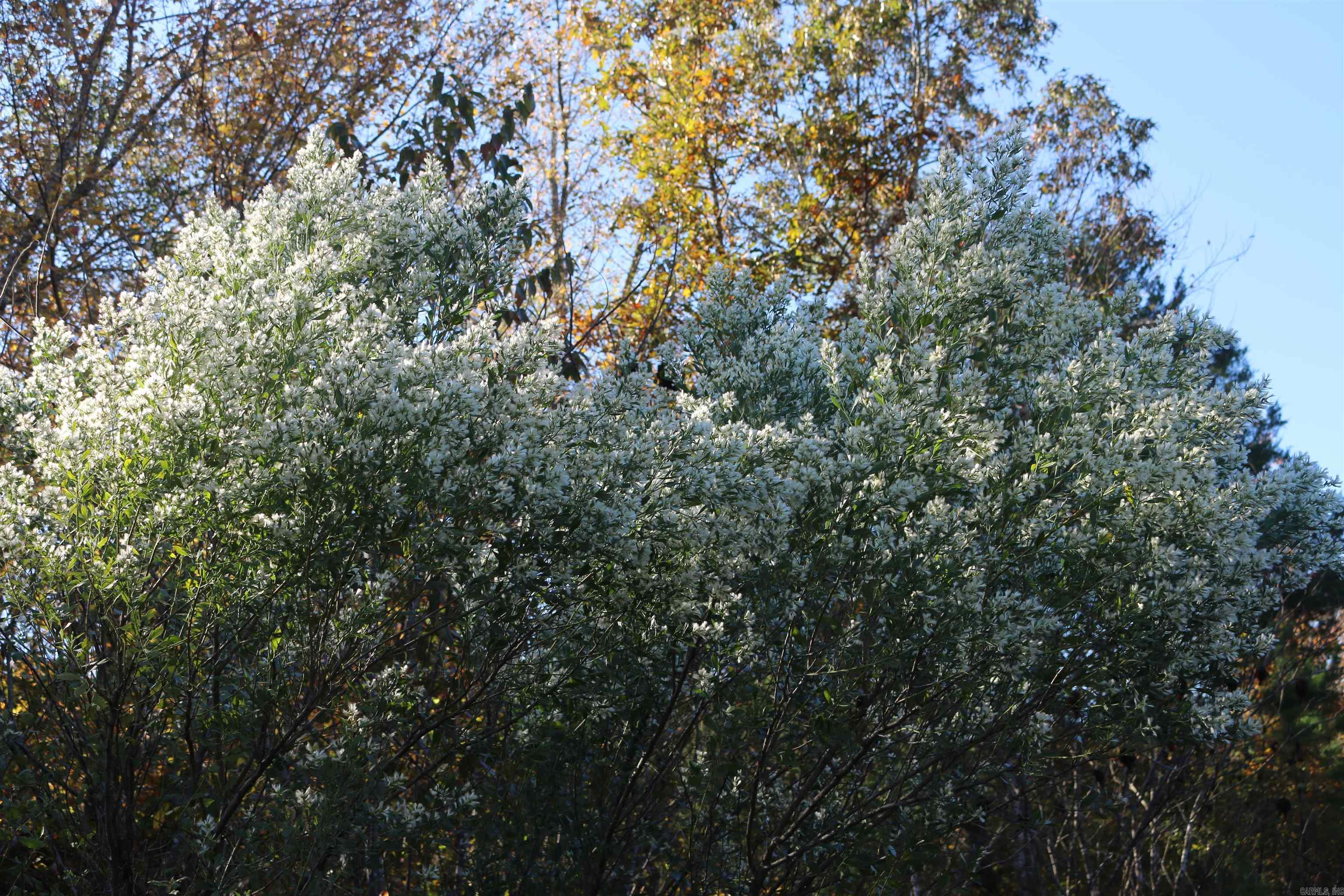 000 Kulp Road  Boles, AR