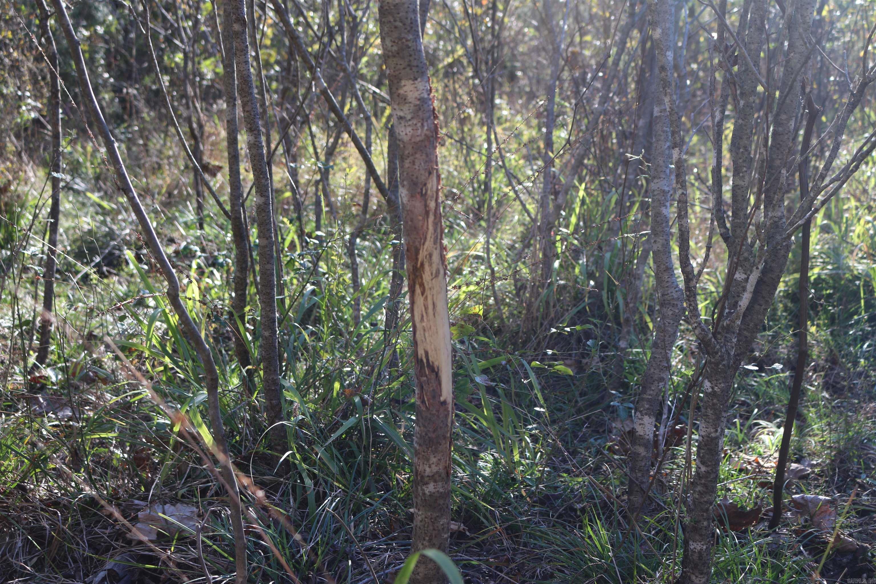 000 Kulp Road  Boles, AR