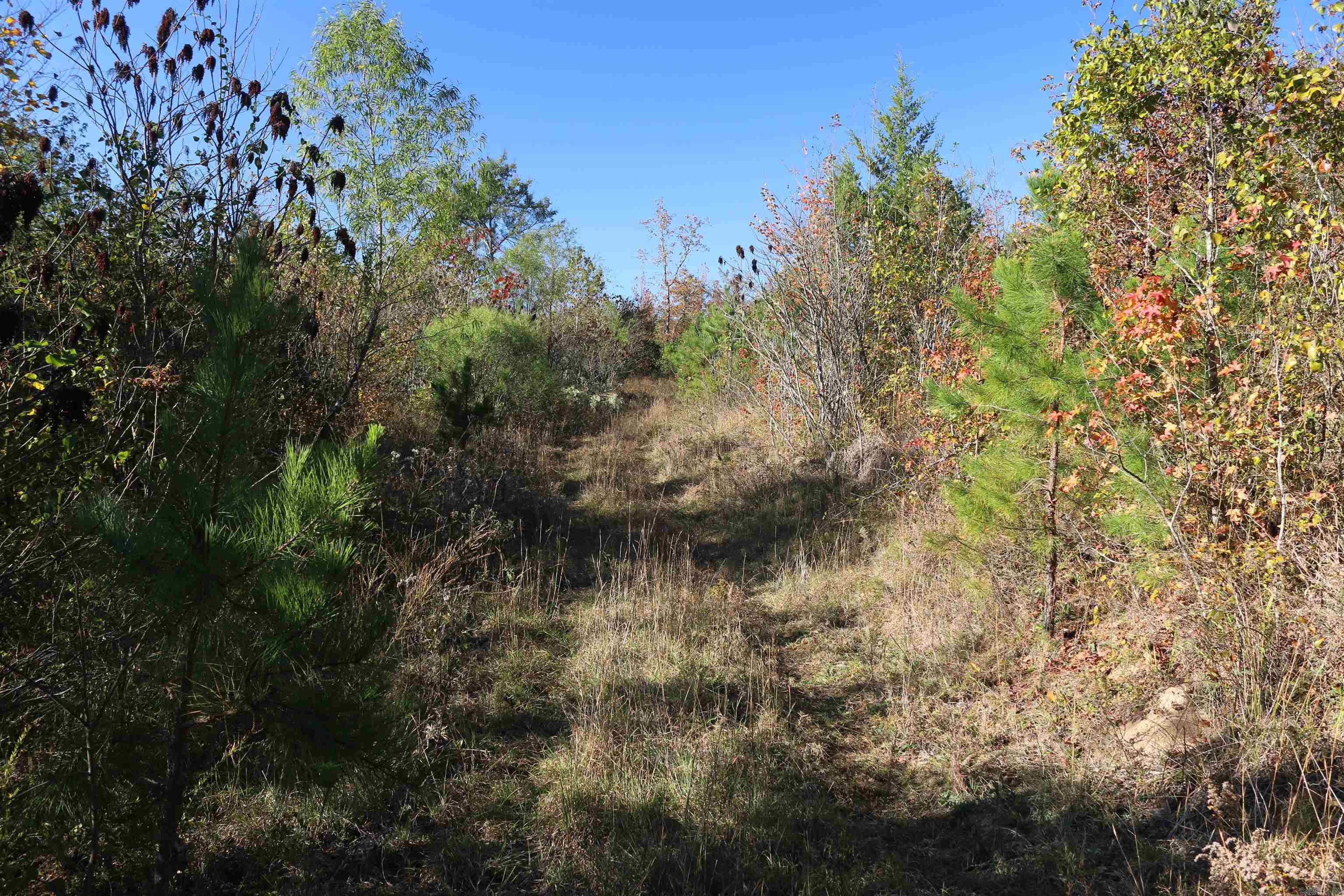 000 Kulp Road  Boles, AR