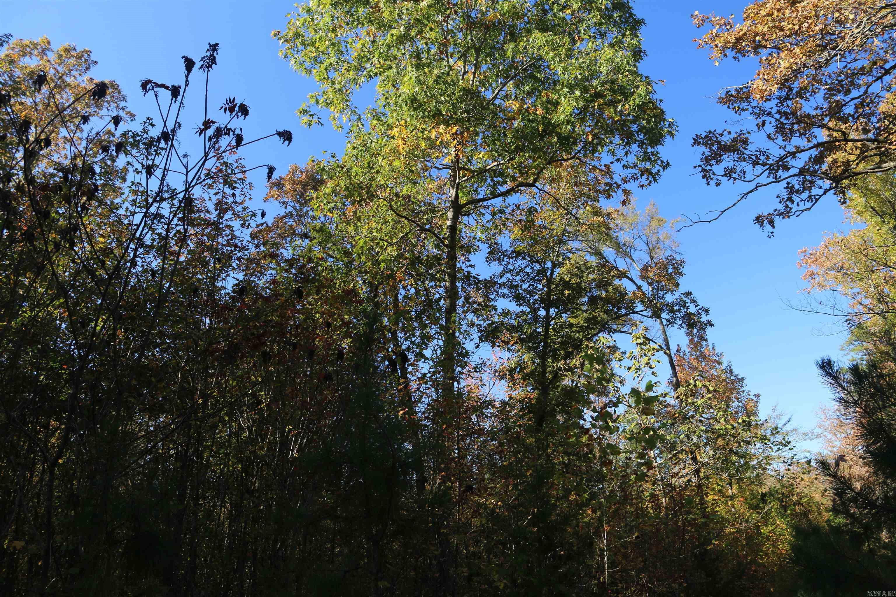 000 Kulp Road  Boles, AR