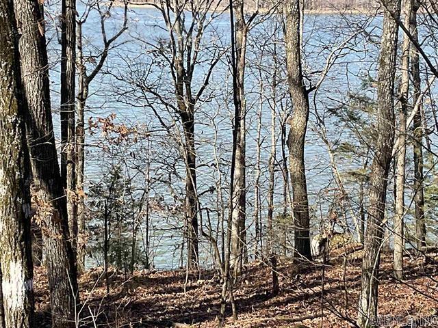 L10 Elrod Drive  Greers Ferry, AR