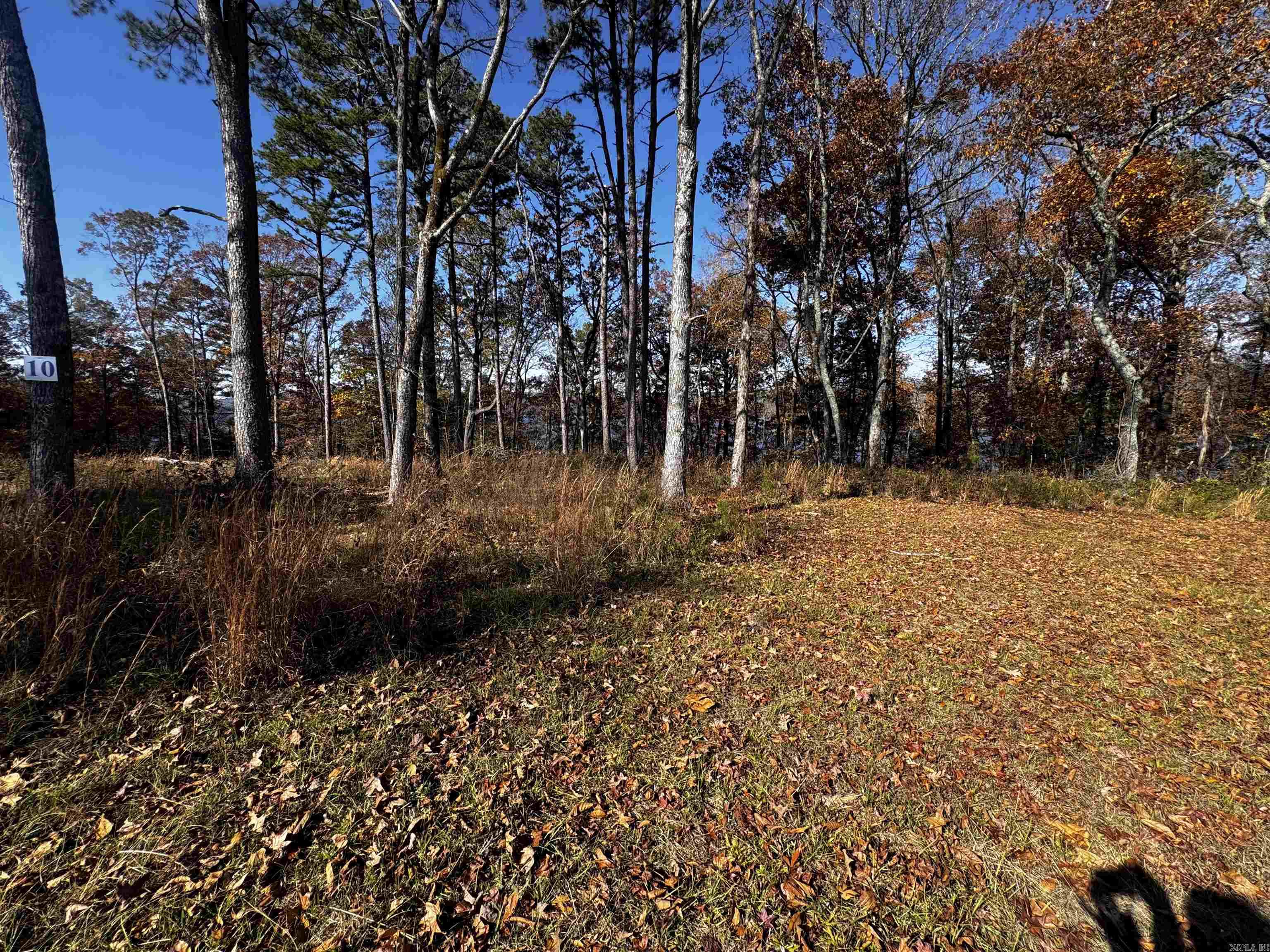 L10 Elrod Drive  Greers Ferry, AR