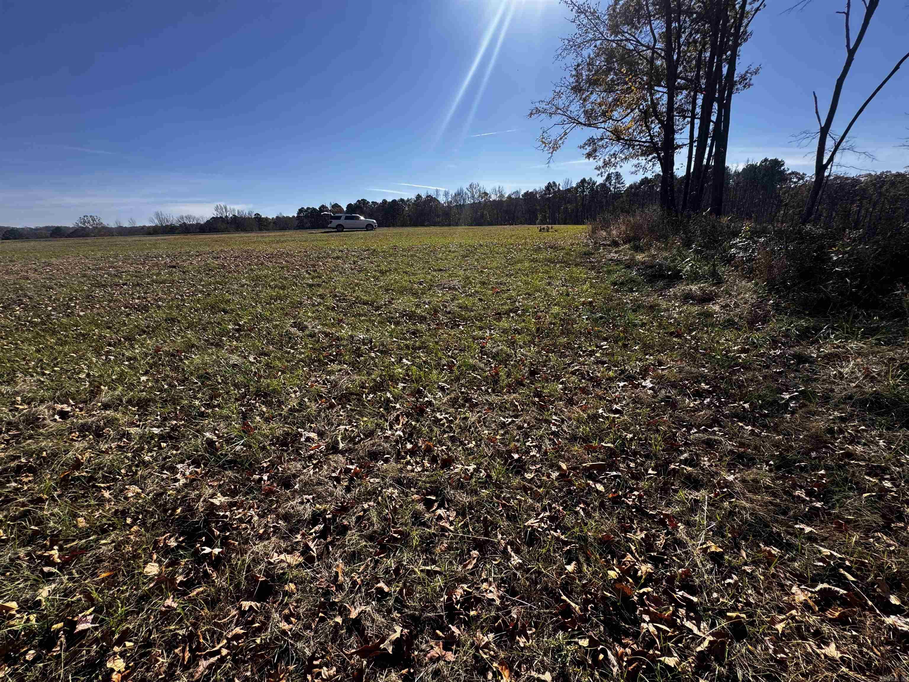 L10 Elrod Drive  Greers Ferry, AR