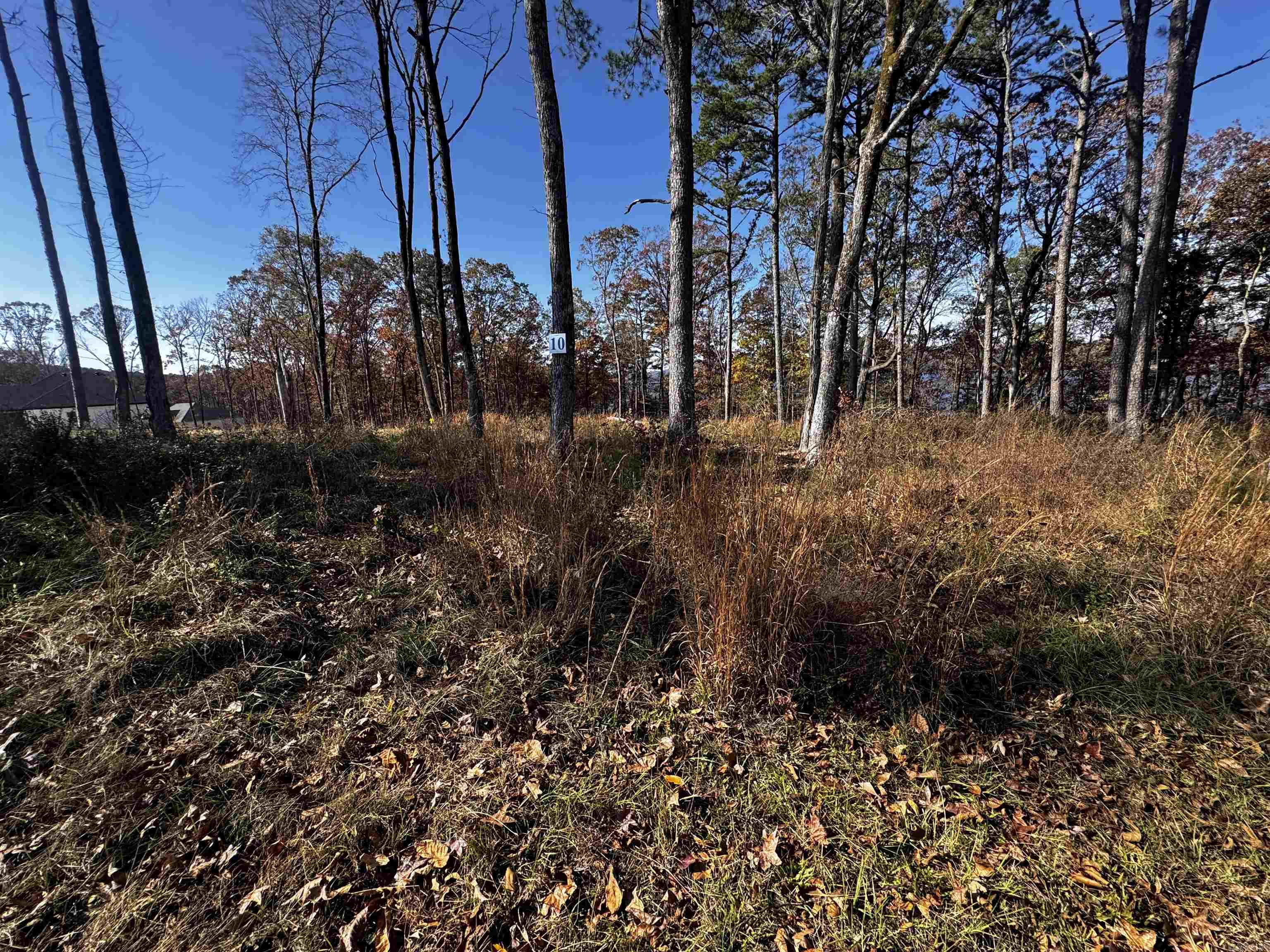 L10 Elrod Drive  Greers Ferry, AR