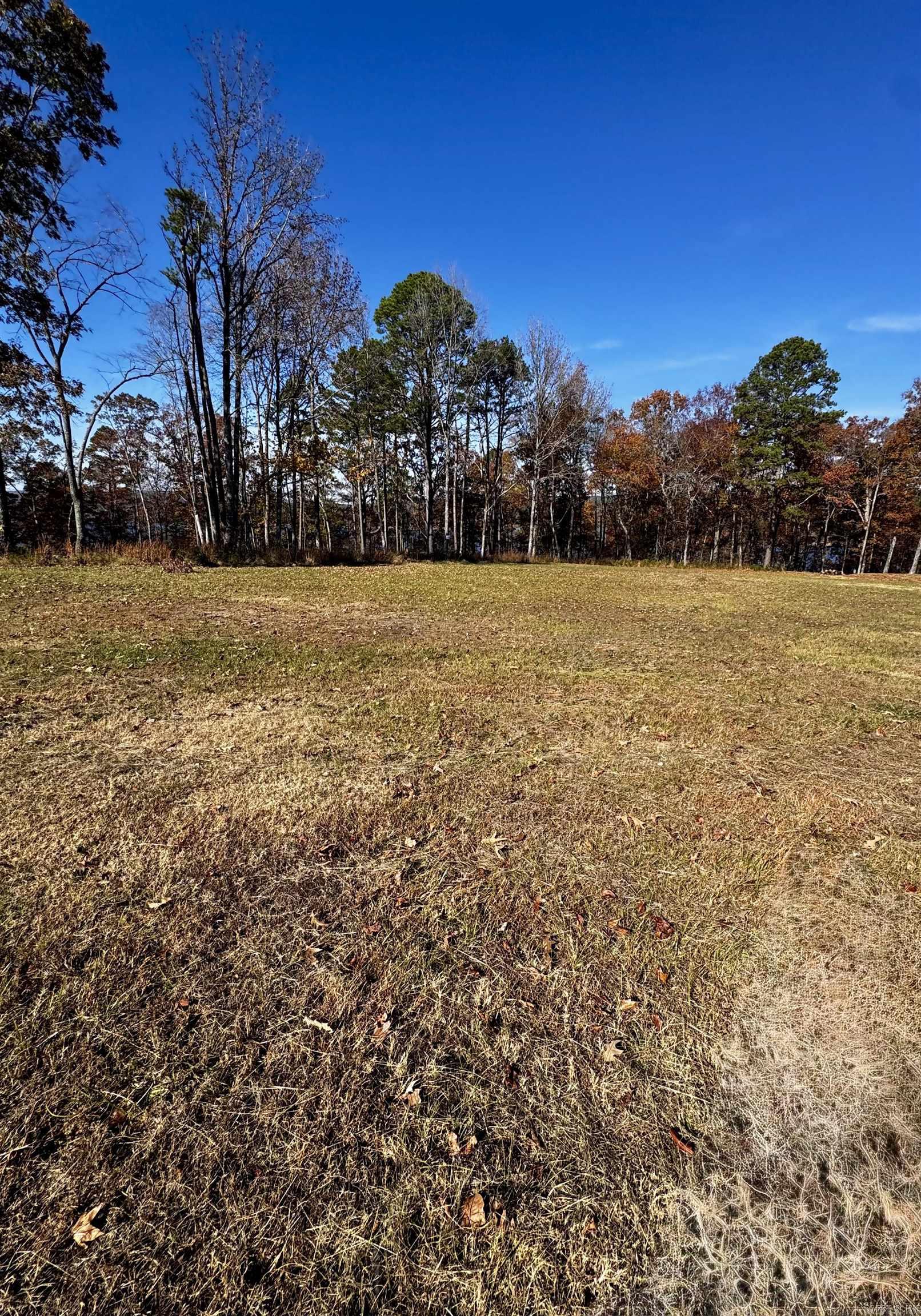 L10 Elrod Drive  Greers Ferry, AR