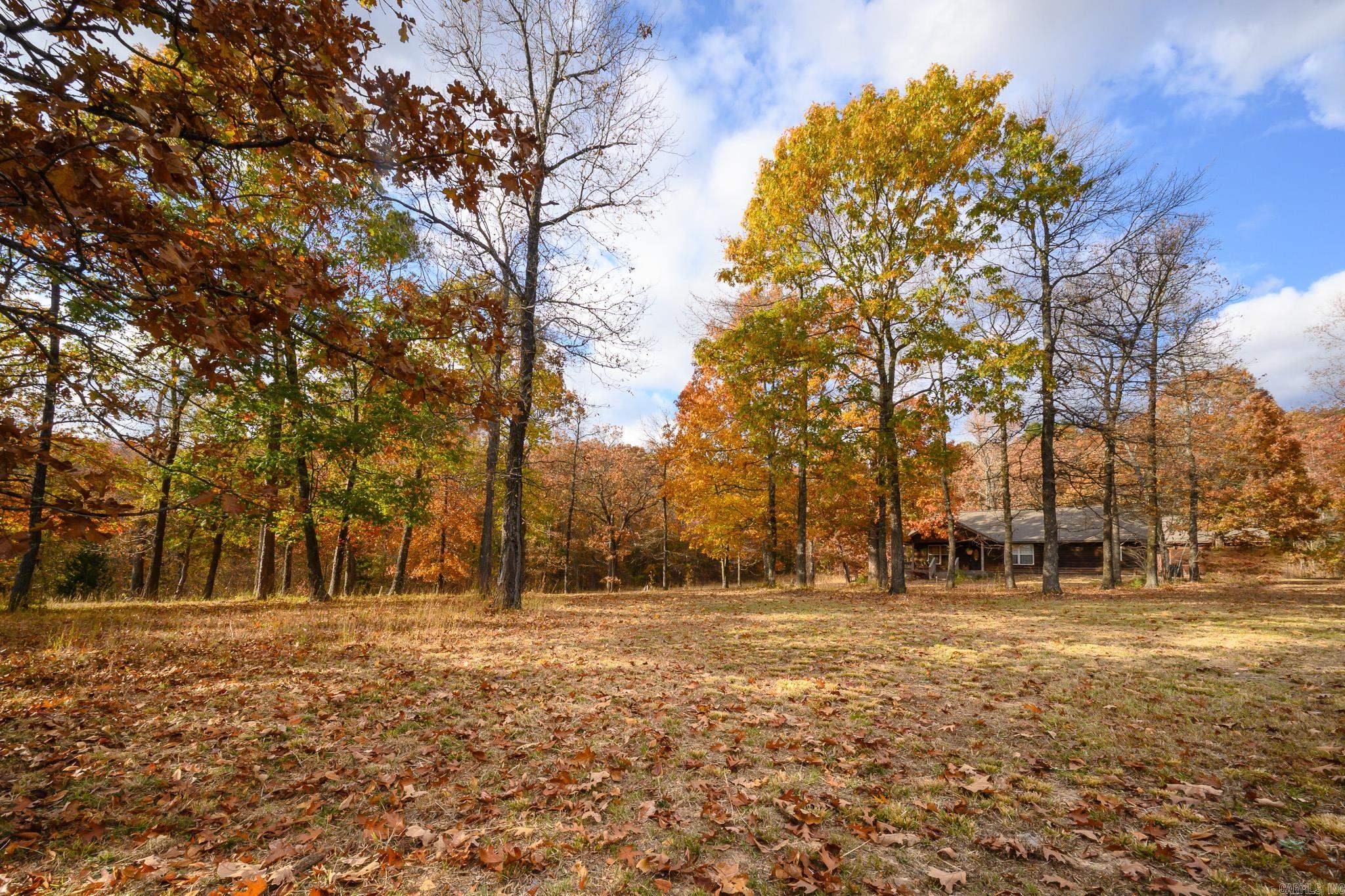 211 Simolin Lane  Mena, AR