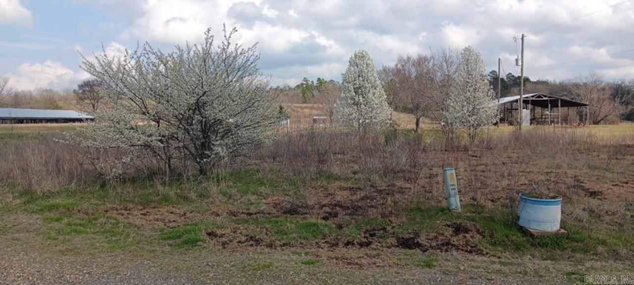 1525 Whitetown  Oden, AR