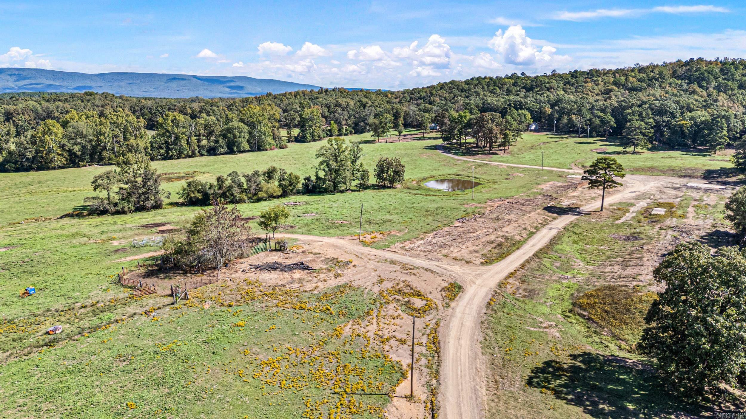 TRACT 1 - 13610 N SR 105  Hector, AR