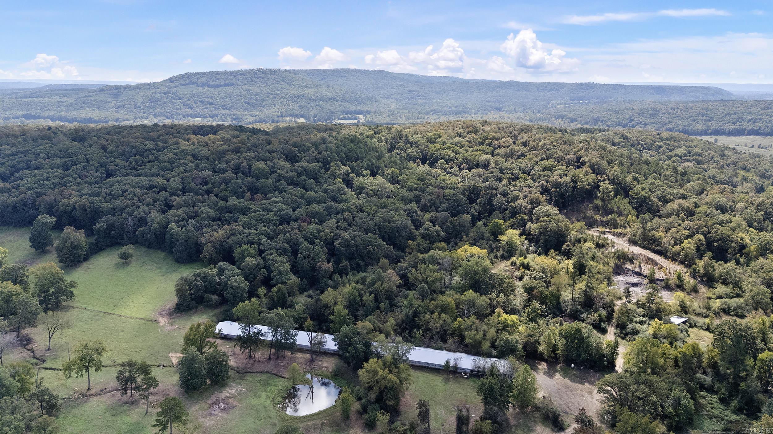 TRACT 1 - 13610 N SR 105  Hector, AR