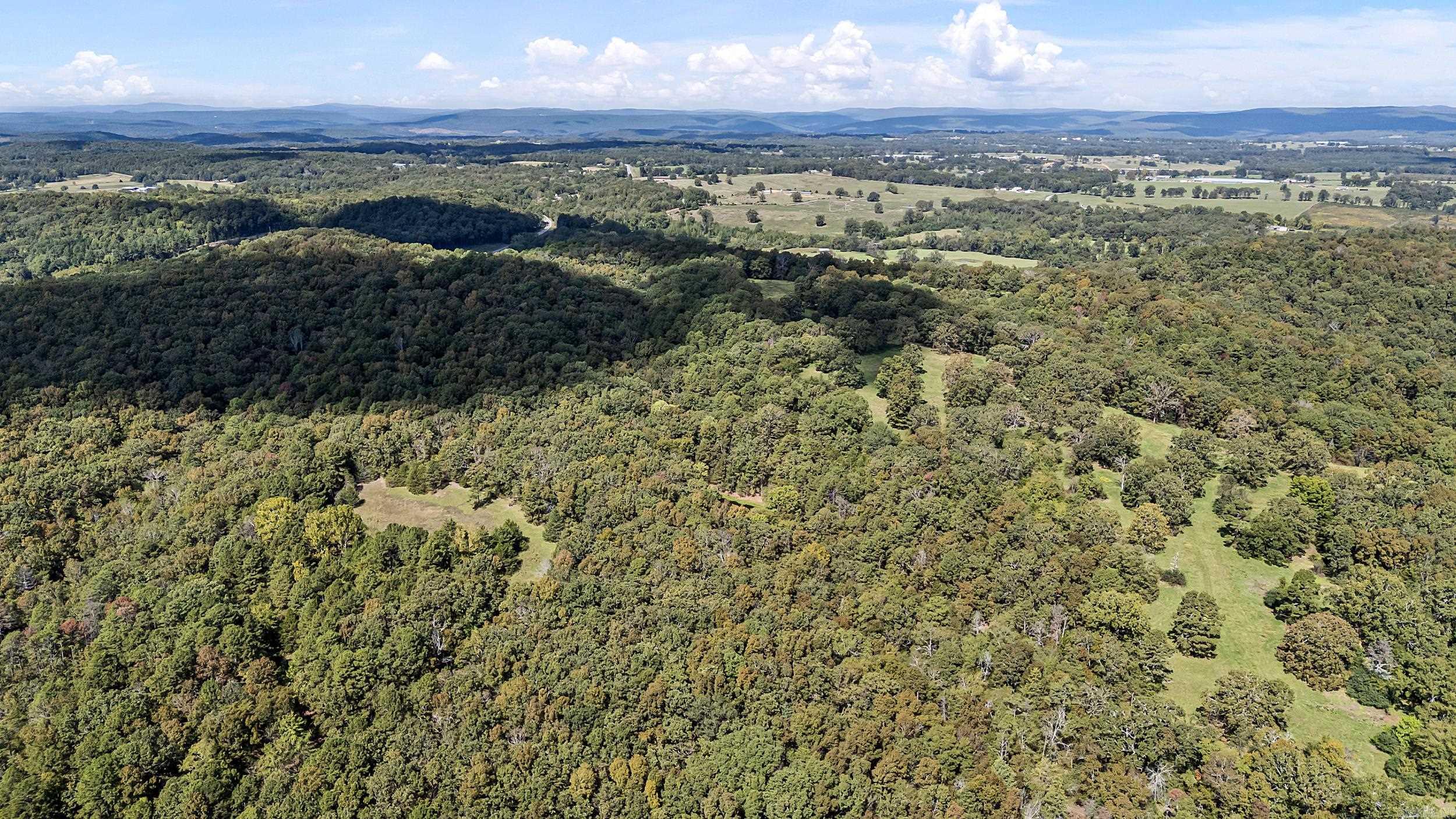 TRACT 2&3-13610 N SR 105  Hector, AR