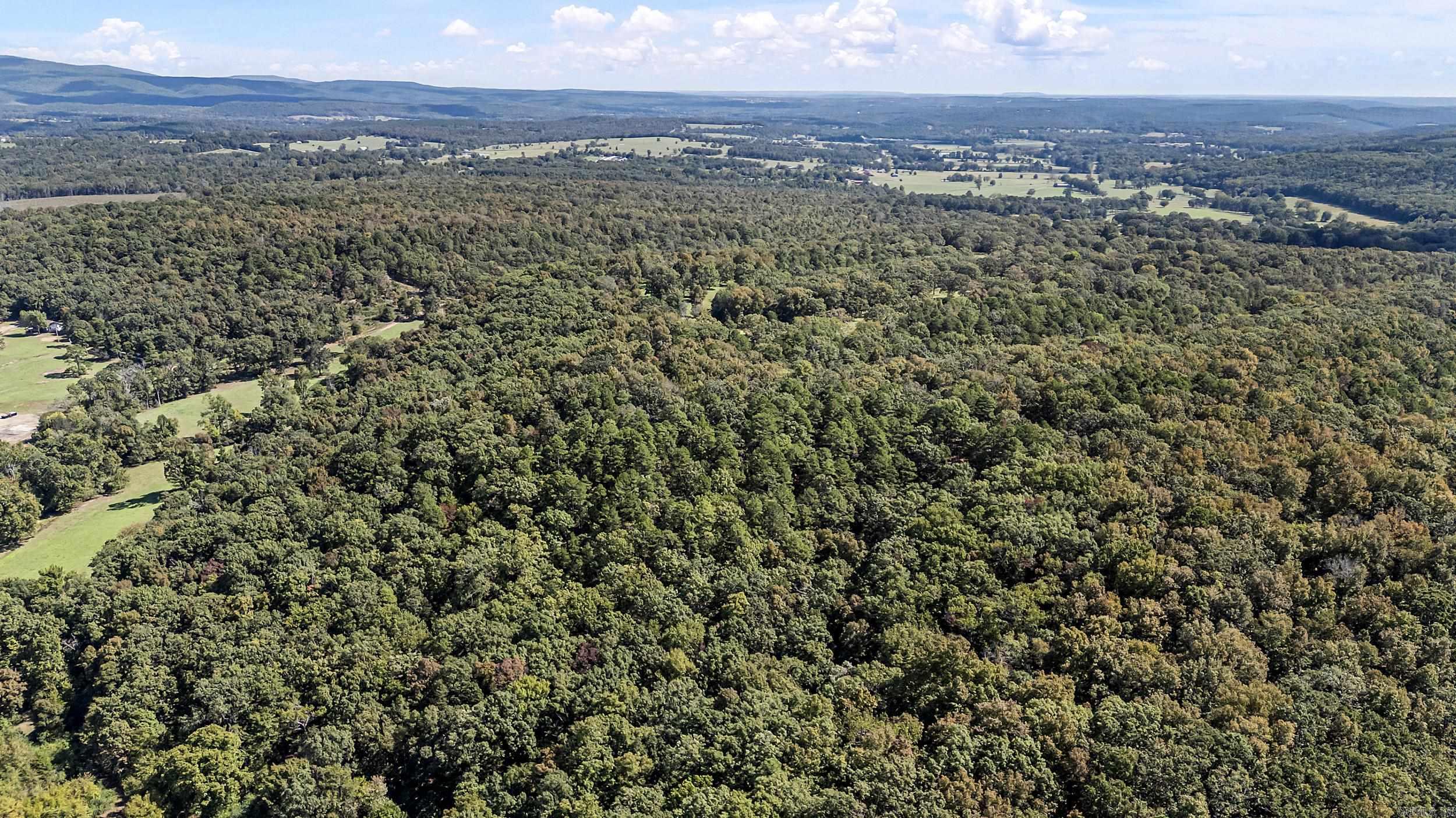 TRACT 2&3-13610 N SR 105  Hector, AR