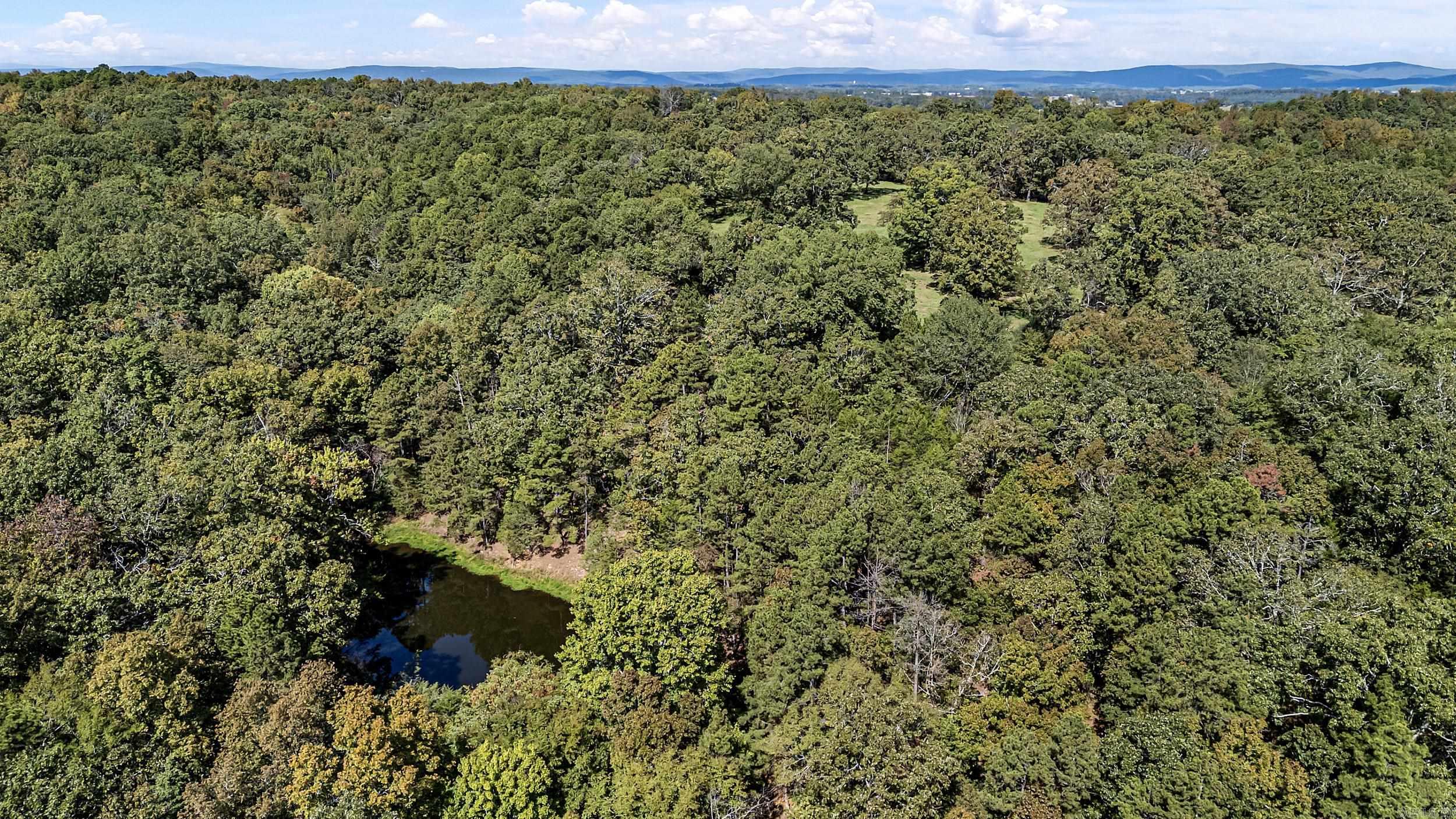 TRACT 2&3-13610 N SR 105  Hector, AR