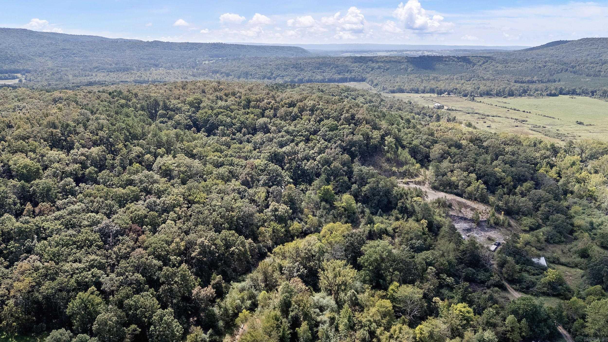 TRACT 2&3-13610 N SR 105  Hector, AR