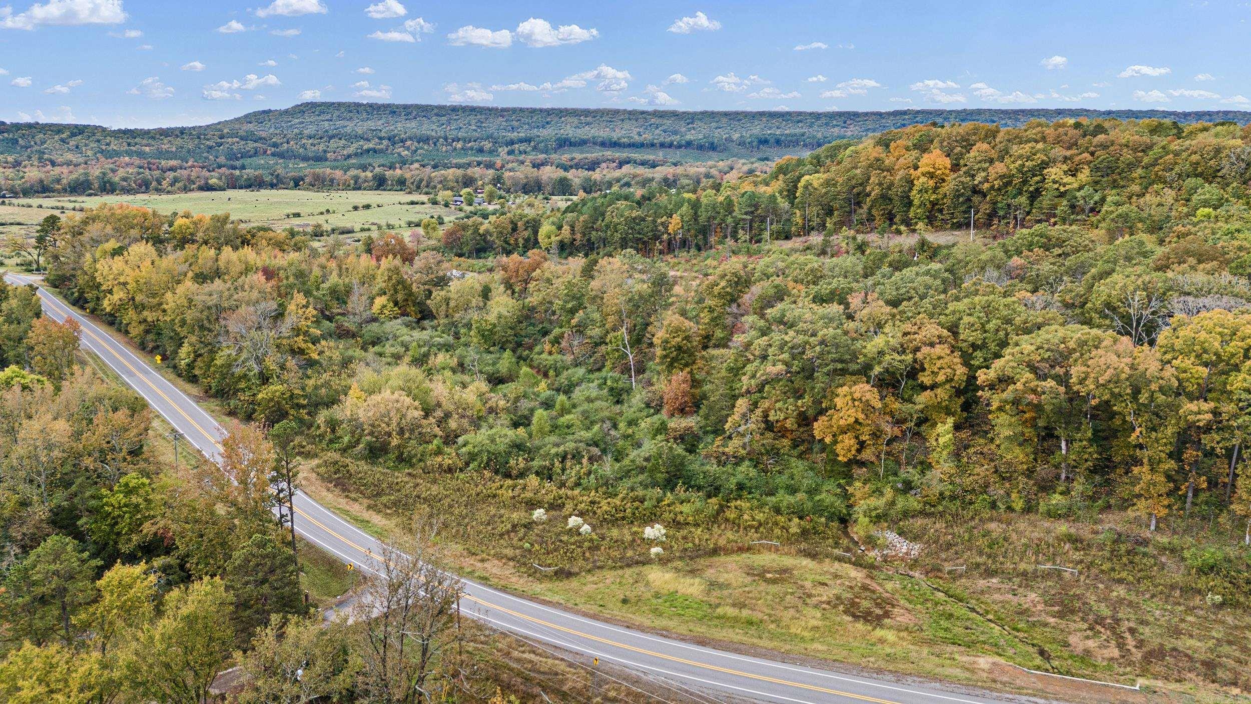 TRACT 4 - 13610 N SR 105  Hector, AR