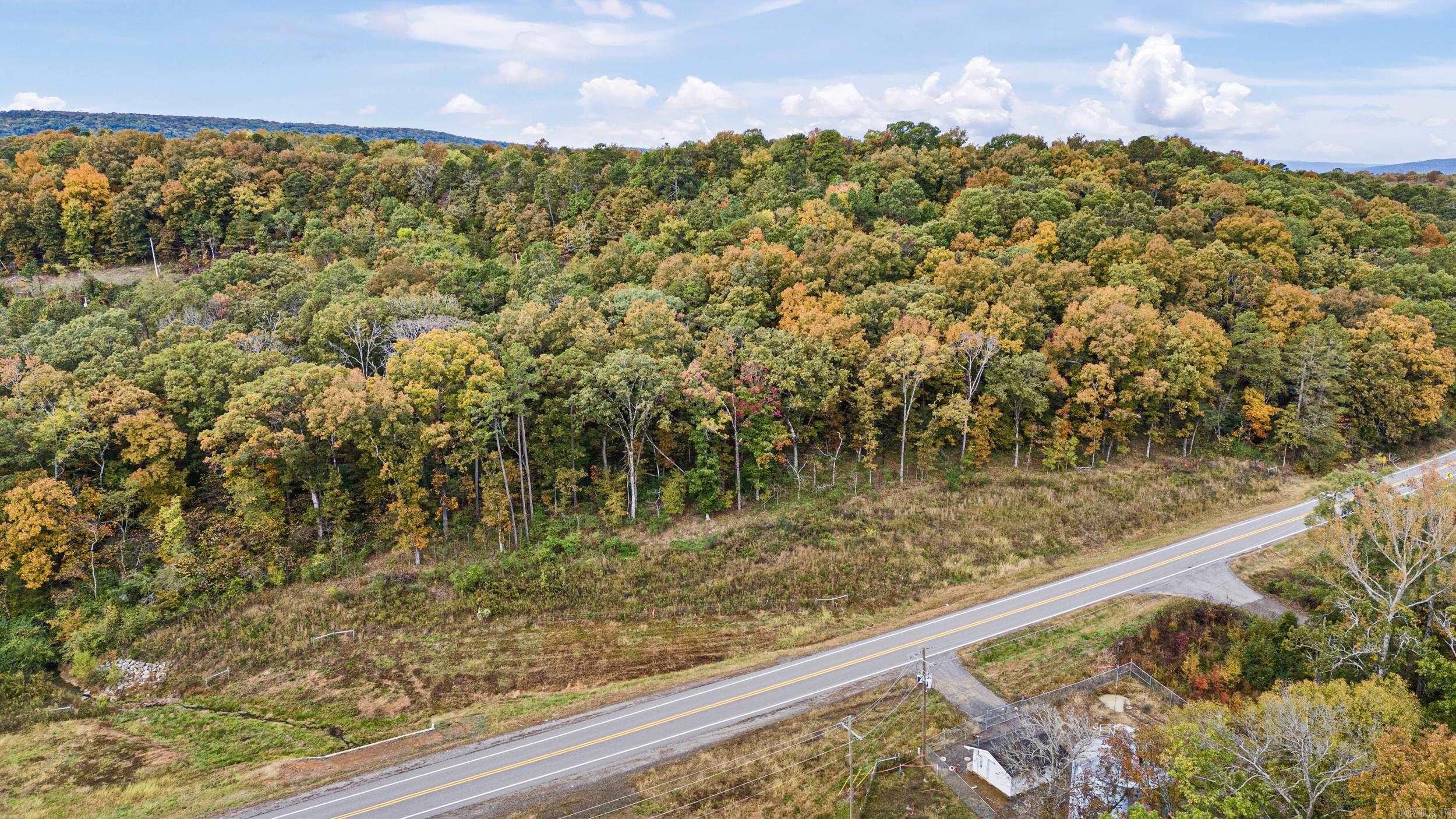 TRACT 4 - 13610 N SR 105  Hector, AR