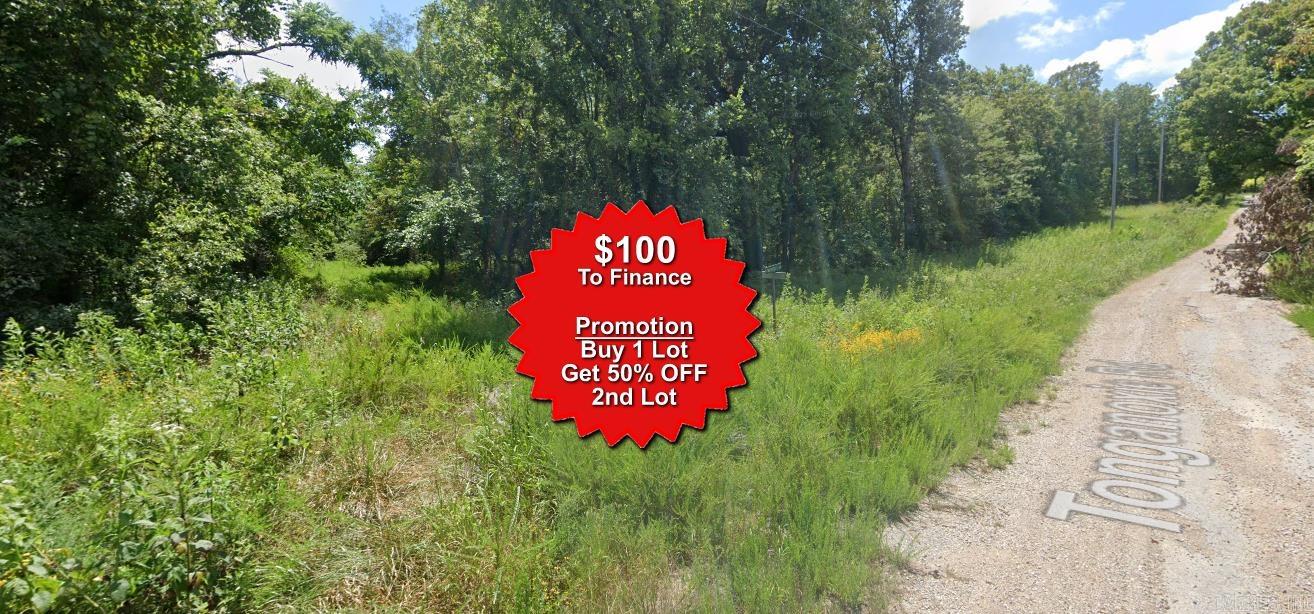 Lot 10 Siksika  Cherokee Village, AR