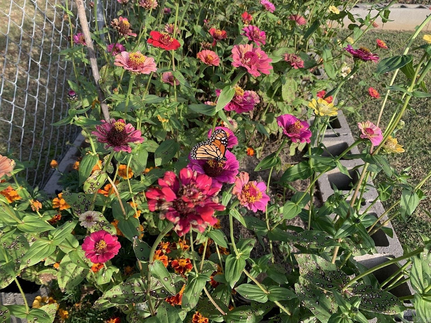 1544 Sweeden  Russellville, AR