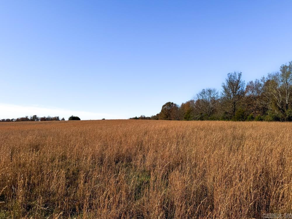 8043 Holly Mountain  Clinton, AR