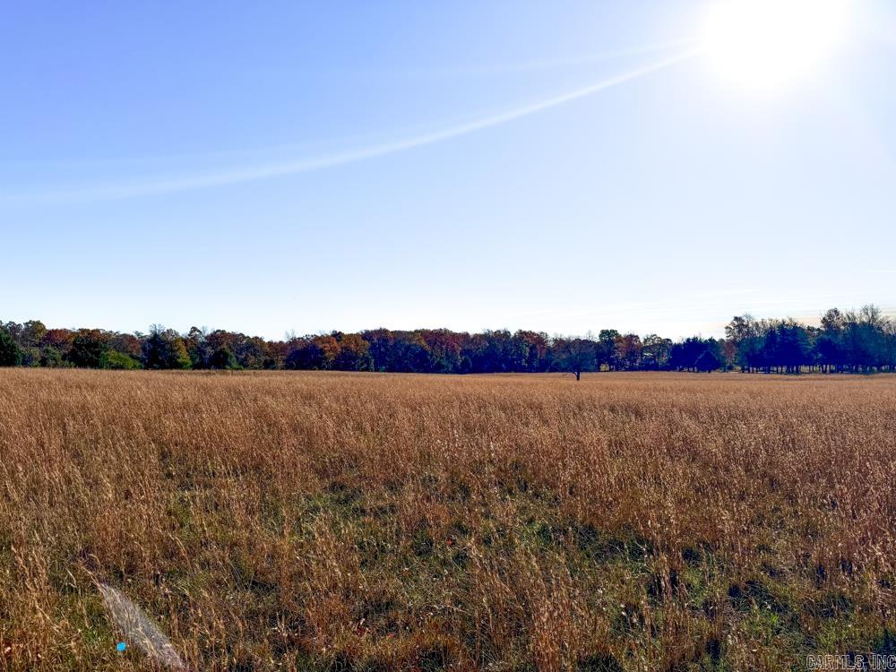 8043 Holly Mountain  Clinton, AR