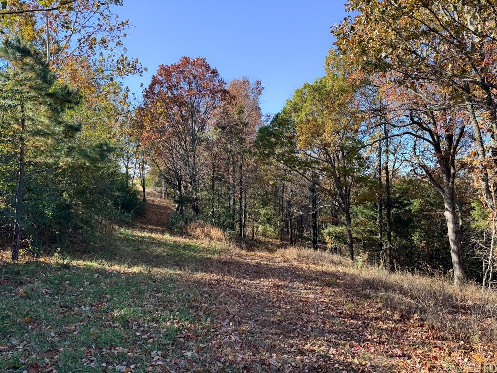 8043 Holly Mountain  Clinton, AR