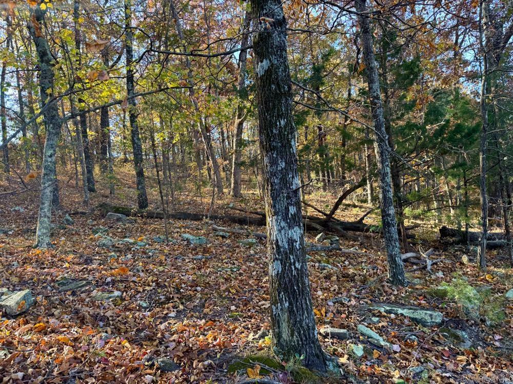 8043 Holly Mountain  Clinton, AR