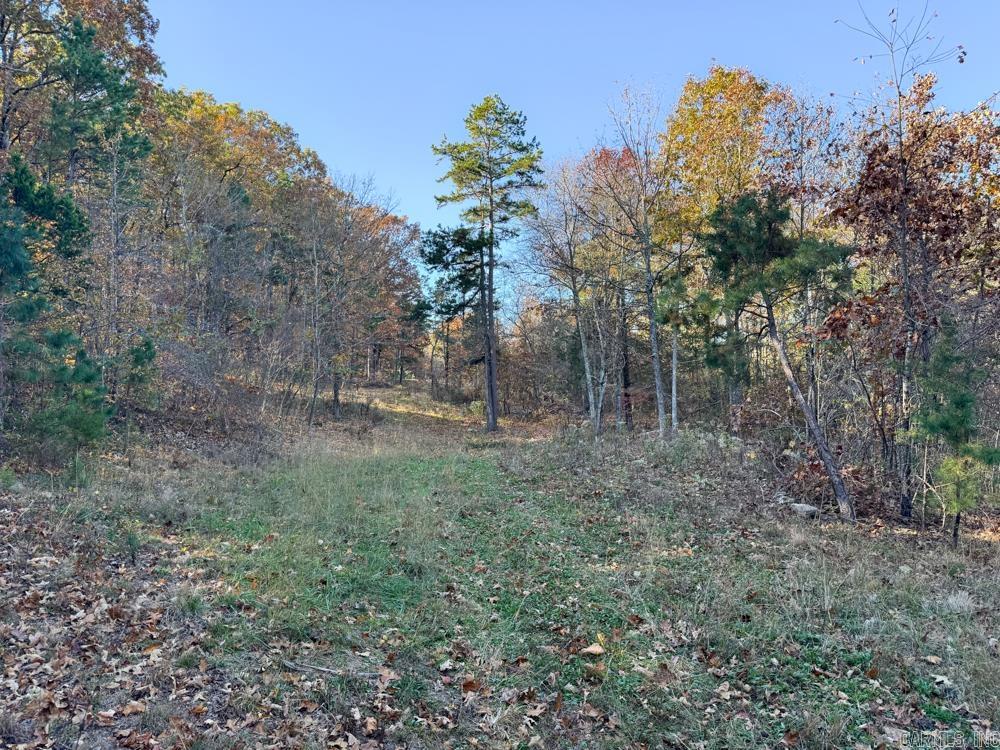 8043 Holly Mountain  Clinton, AR