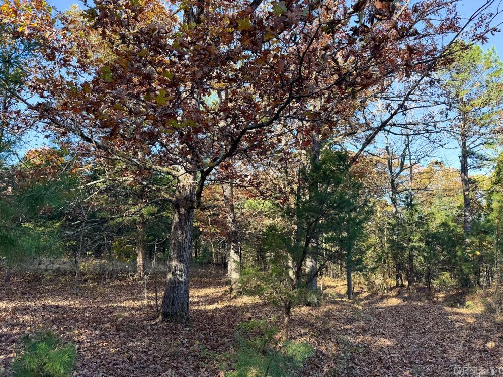 8043 Holly Mountain  Clinton, AR