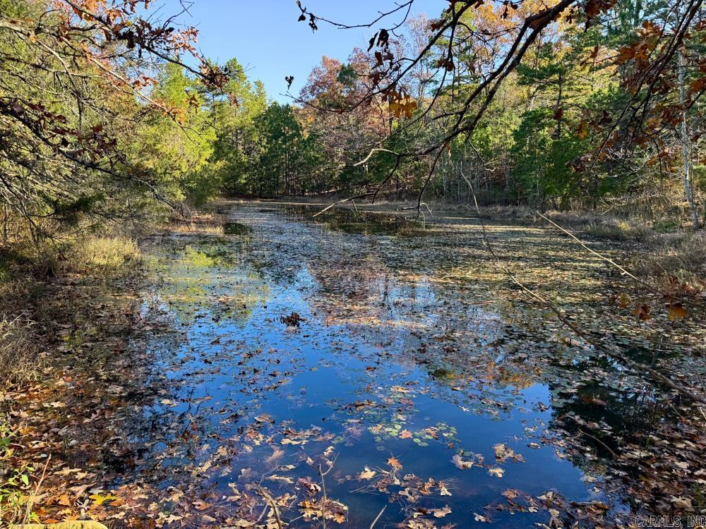 8043 Holly Mountain  Clinton, AR