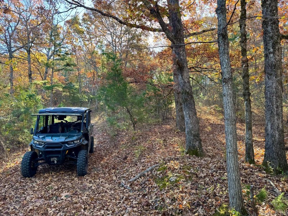 8043 Holly Mountain  Clinton, AR