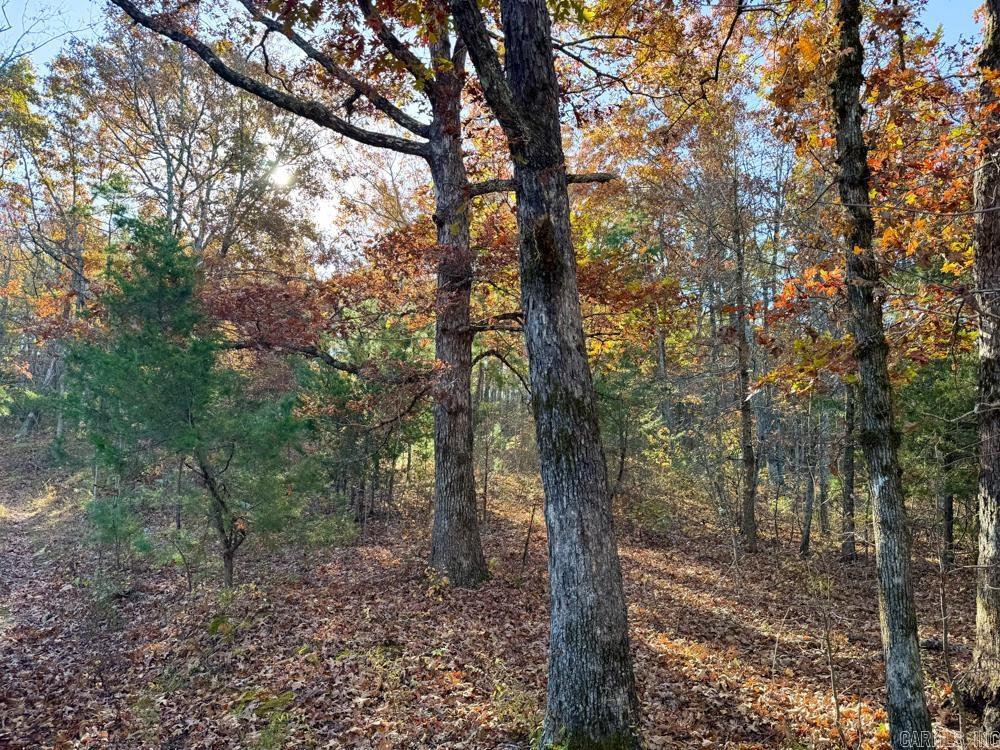 8043 Holly Mountain  Clinton, AR